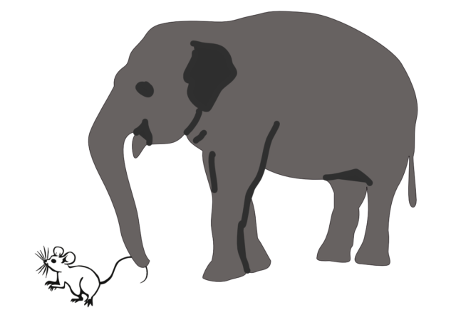Olifant en muis lef